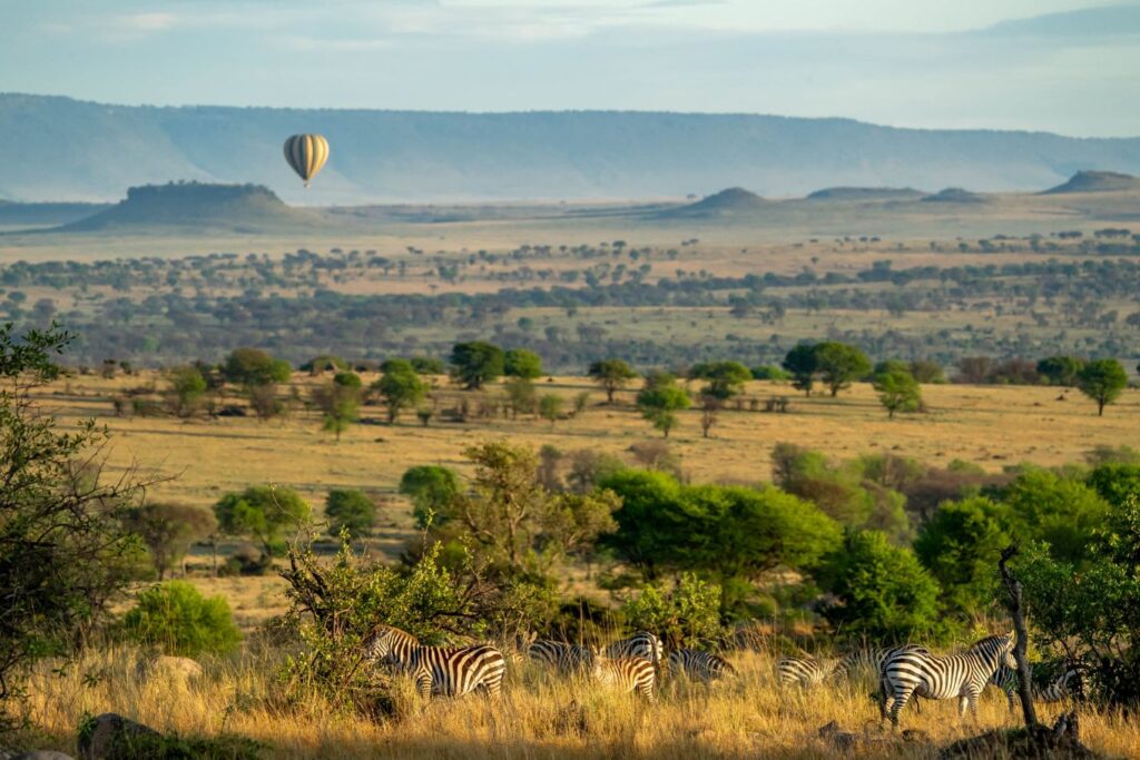 Balloon Safari