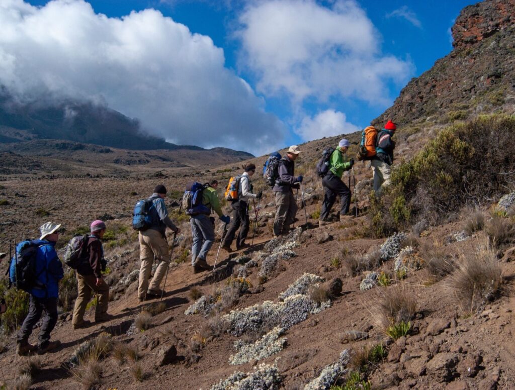 Hiking Kilimanjaro Mountaineering Safaris